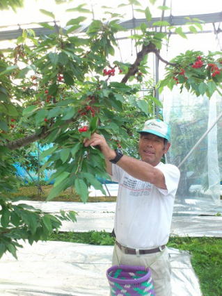 ��؉ʎ����@�T�N�����{