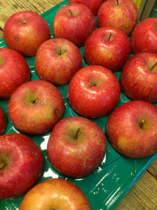 �󂠂�@10�s�@