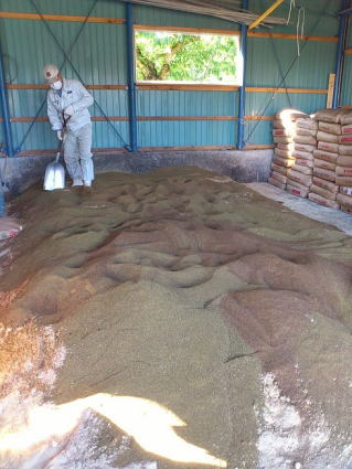 �L�@�엿���