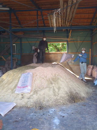 �L�@�엿�Â���