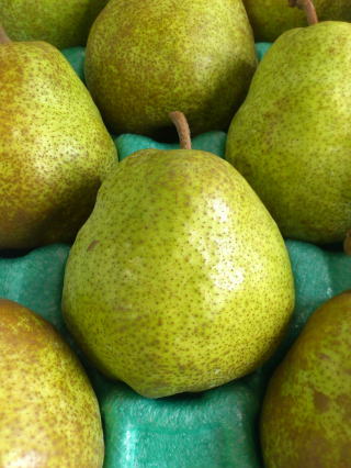 ��؉ʎ����@���E�t�����X