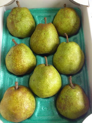 ���E�t�����X�R����