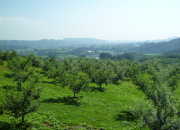 �F�Â��n�߂������S�̎�