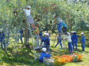 ���w���̂�����n��Ƒ̌�