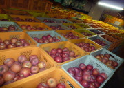 ���n���ꂽ�T���ӂ�