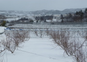 ���E�t�����X�̔��ƒ���