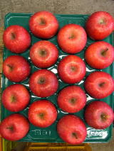 �T���ӂ��@�����i�@5�s