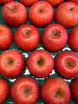 �T���ӂ��@�����i�@5�s