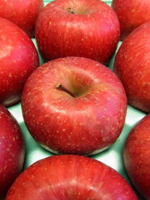 �T���ӂ��@