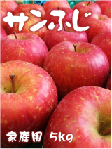 �T���ӂ��@5�s�@�ƒ�p�@